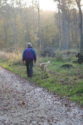 Clic pour agrandir l'image (514x768 pixels; 94 KB)