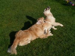 Clic pour agrandir l'image (1024x768 pixels; 184 KB)