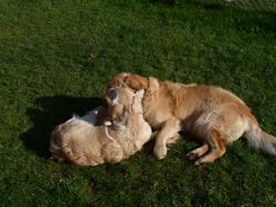 Clic pour agrandir l'image (1024x768 pixels; 189 KB)