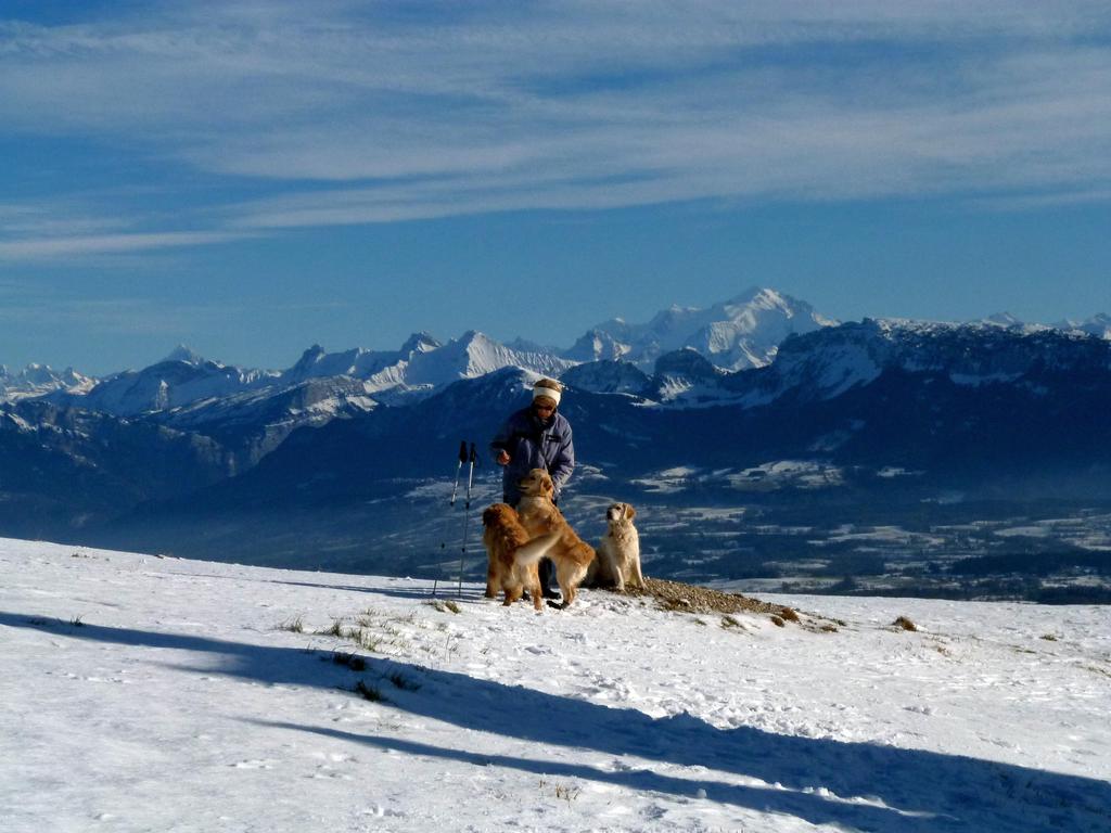 Clic pour l'image suivante