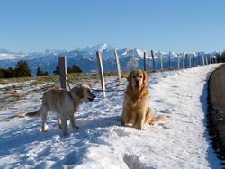 Clic pour agrandir l'image (1024x768 pixels; 125 KB)