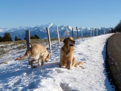 Clic pour agrandir l'image (1024x768 pixels; 126 KB)