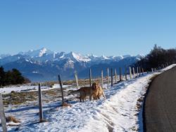 Clic pour agrandir l'image (1024x768 pixels; 117 KB)