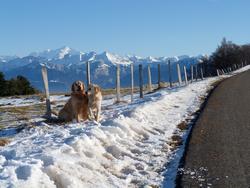 Clic pour agrandir l'image (1024x768 pixels; 131 KB)