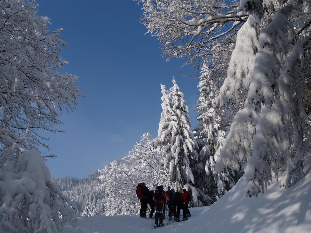 Clic pour l'image suivante