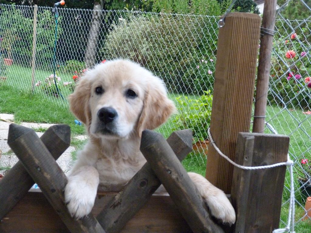 Clic pour l'image suivante