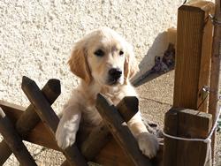 Clic pour agrandir l'image (1024x768 pixels; 146 KB)