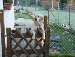 Clic pour agrandir l'image (1024x768 pixels; 196 KB)