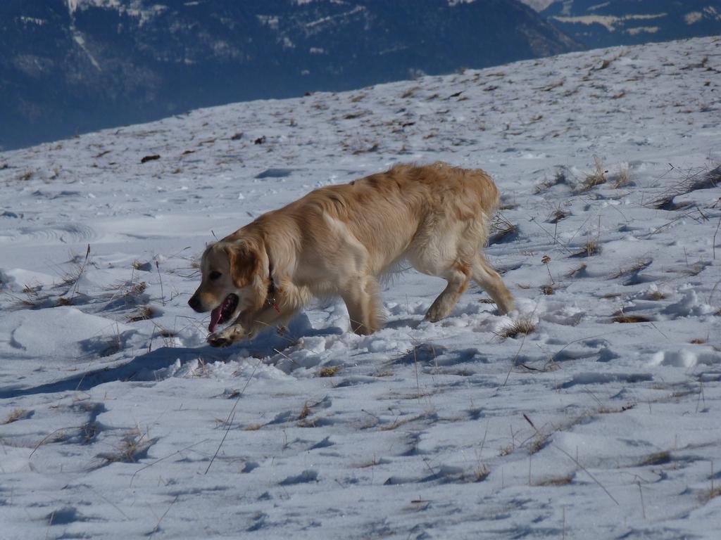 Clic pour l'image suivante