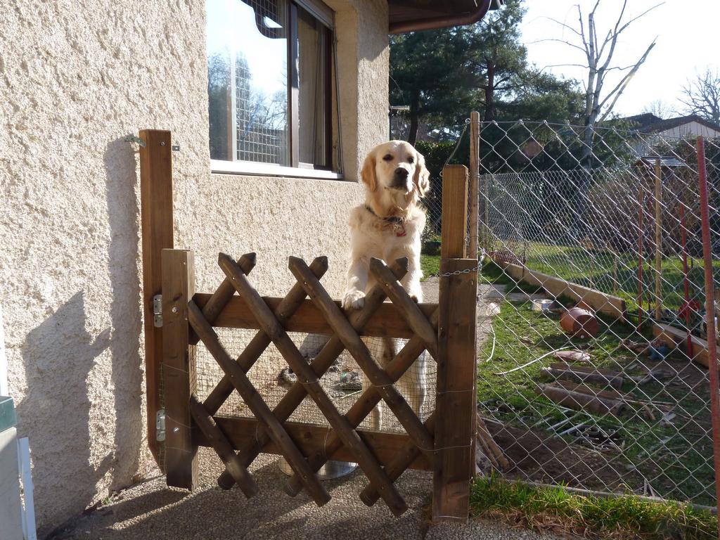 Clic pour l'image suivante