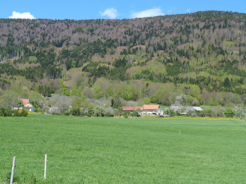 Clic pour l'image suivante