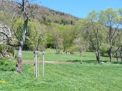 Clic pour agrandir l'image (1024x768 pixels; 239 KB)