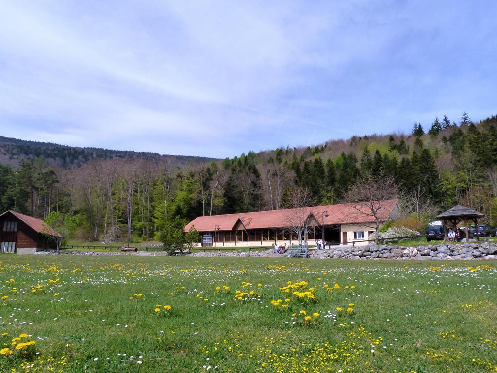 Clic pour l'image suivante