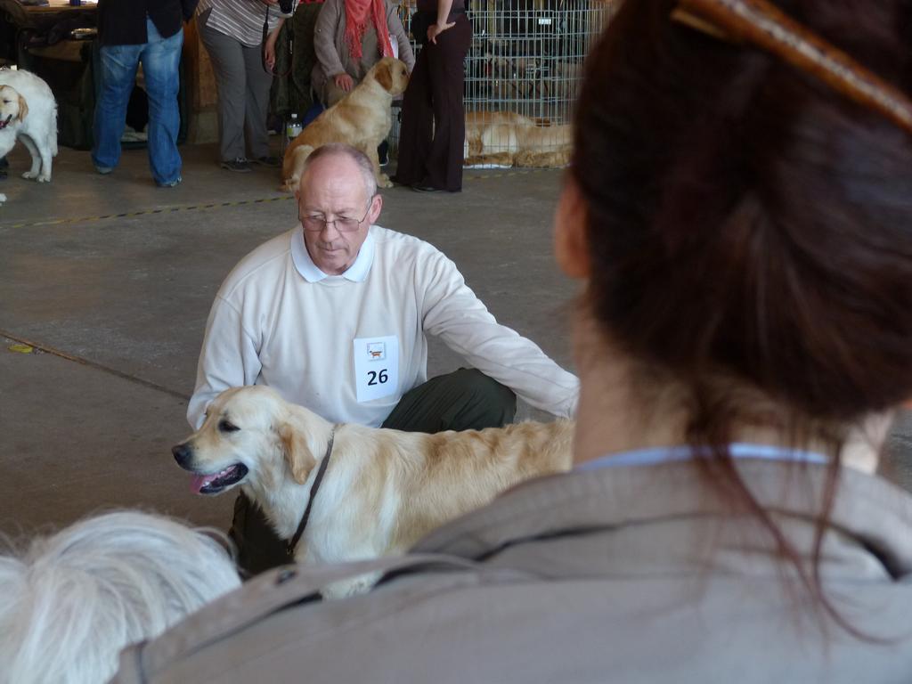 Clic pour l'image suivante