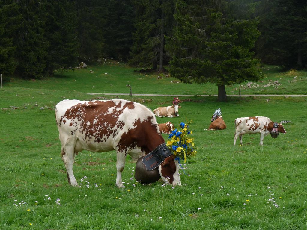 Clic pour l'image suivante