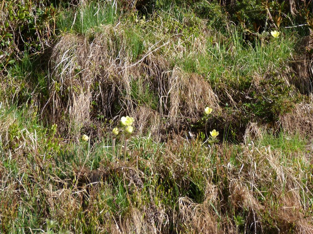 Clic pour l'image suivante