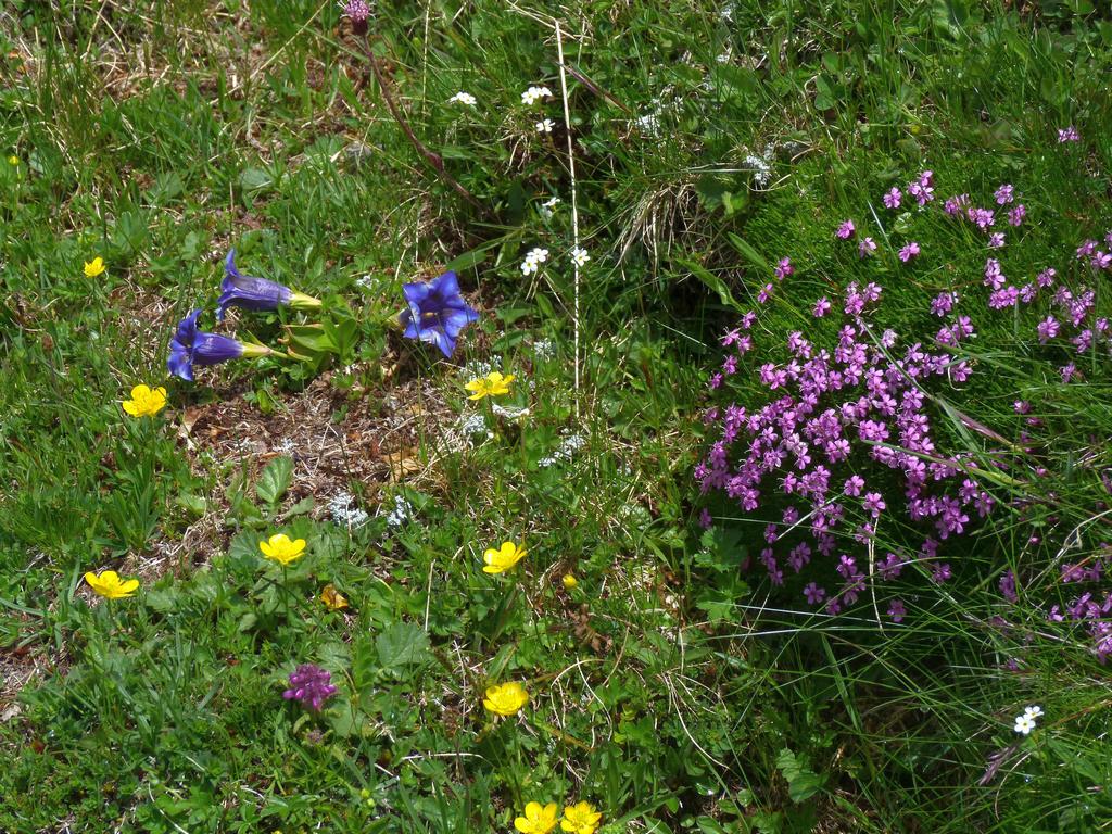 Click to see next picture