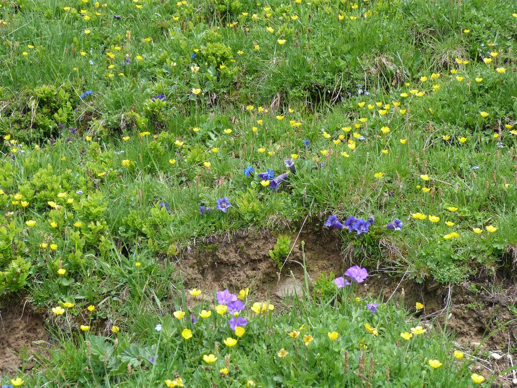 Click to see next picture