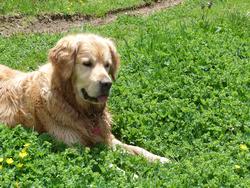 Click to see big picture (1024x768 pixels; 263 KB)