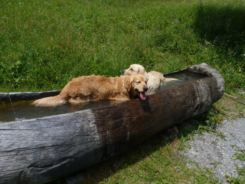 Clic pour l'image suivante