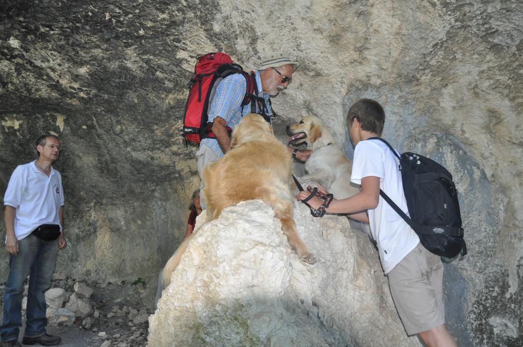 Clic pour l'image suivante