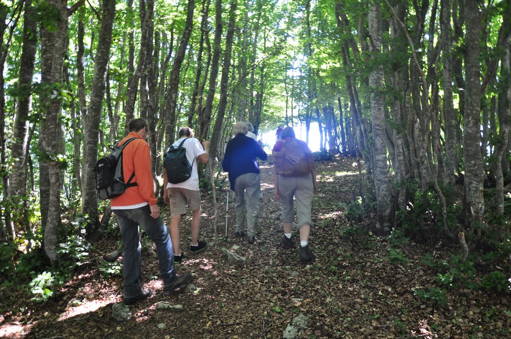 Clic pour l'image suivante