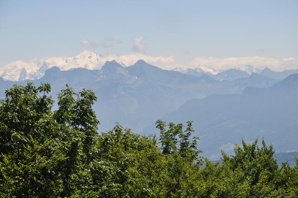 Clic pour l'image suivante