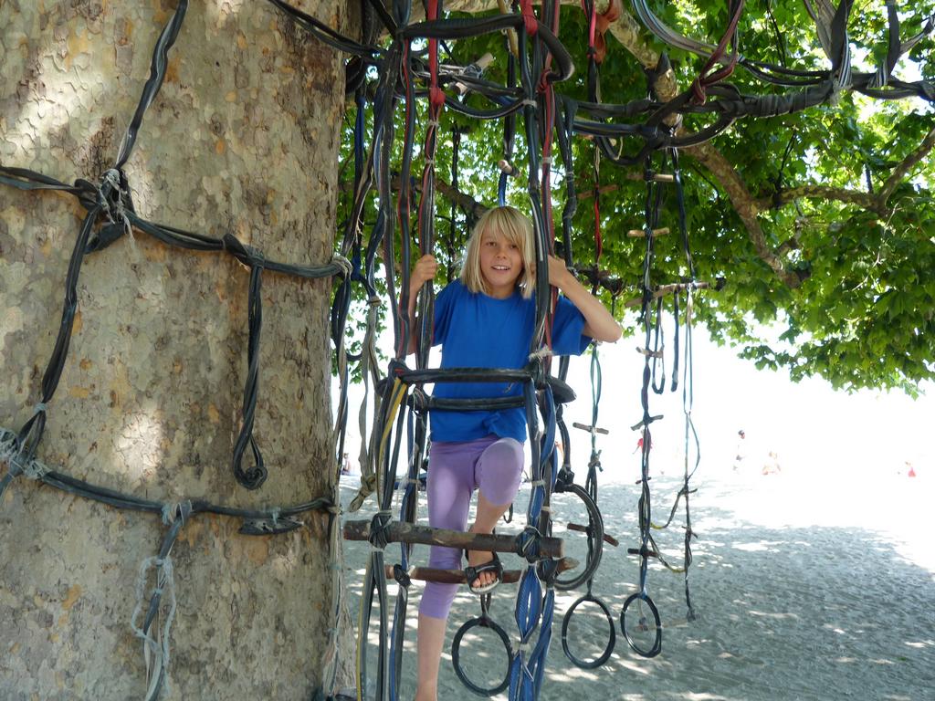 Clic pour l'image suivante