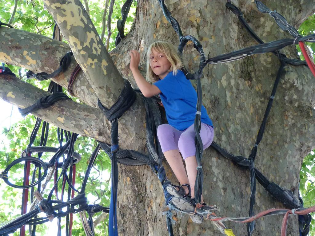 Clic pour l'image suivante