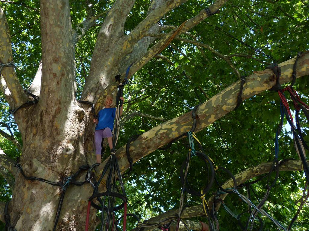 Clic pour l'image suivante