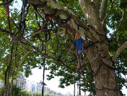 Clic pour agrandir l'image (1024x768 pixels; 205 KB)