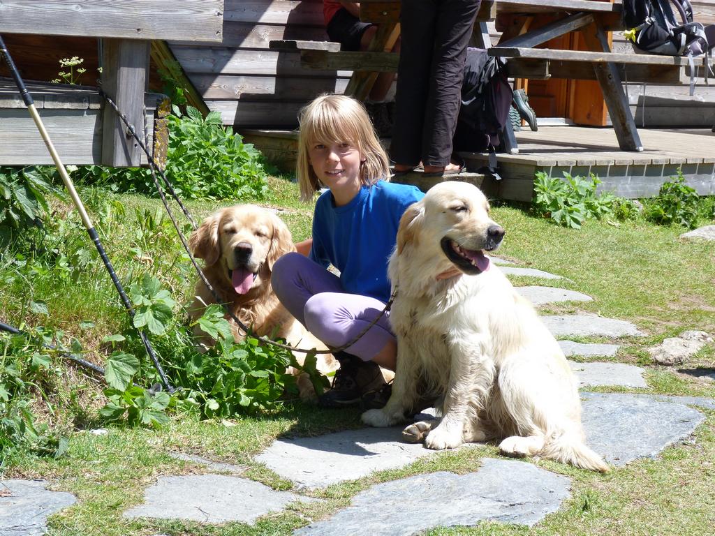 Clic pour l'image suivante