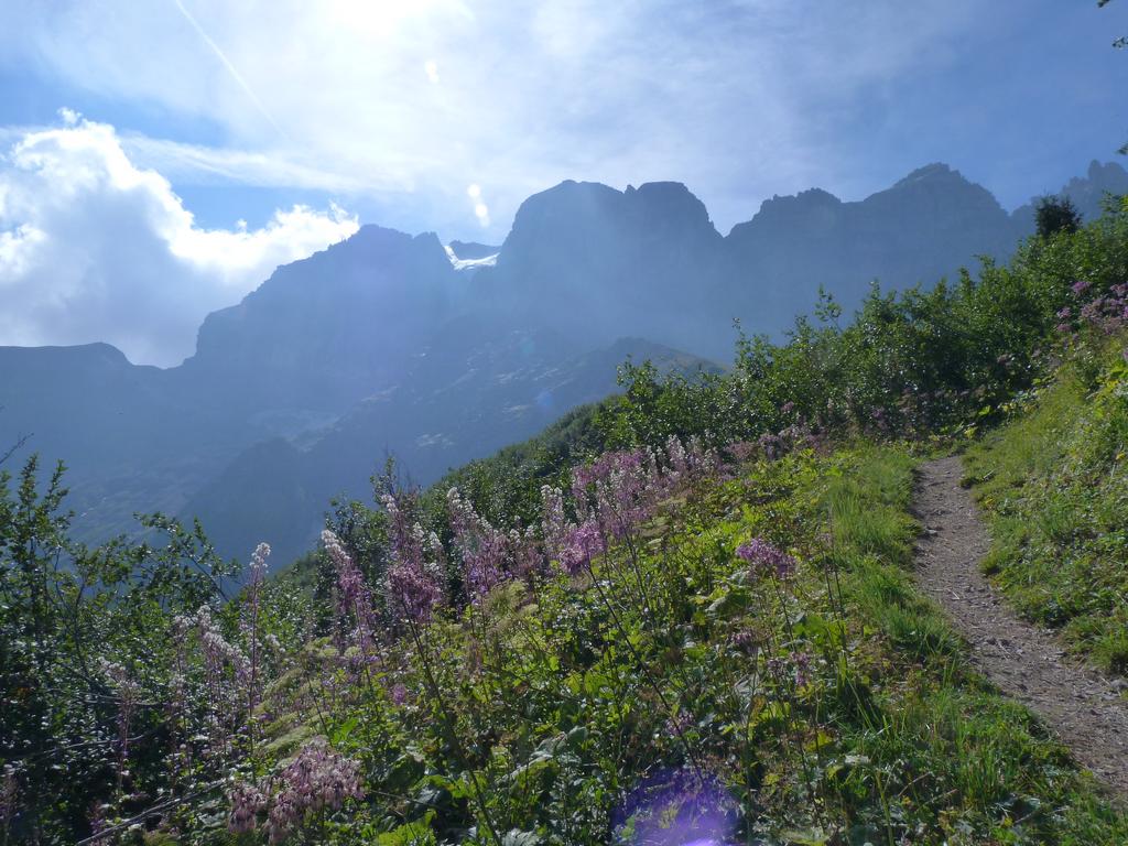 Clic pour l'image suivante