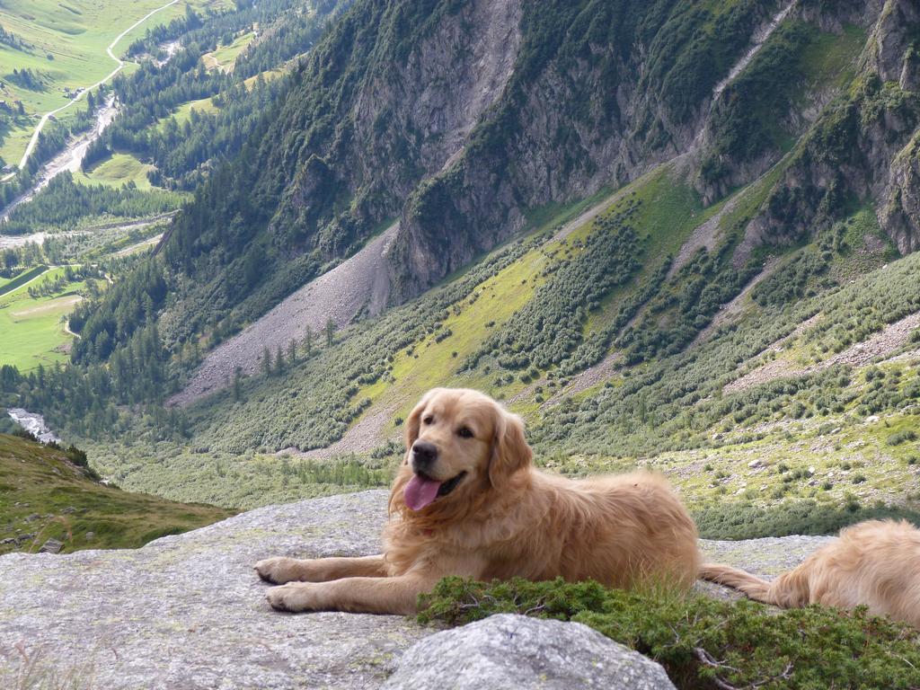 Clic pour l'image suivante