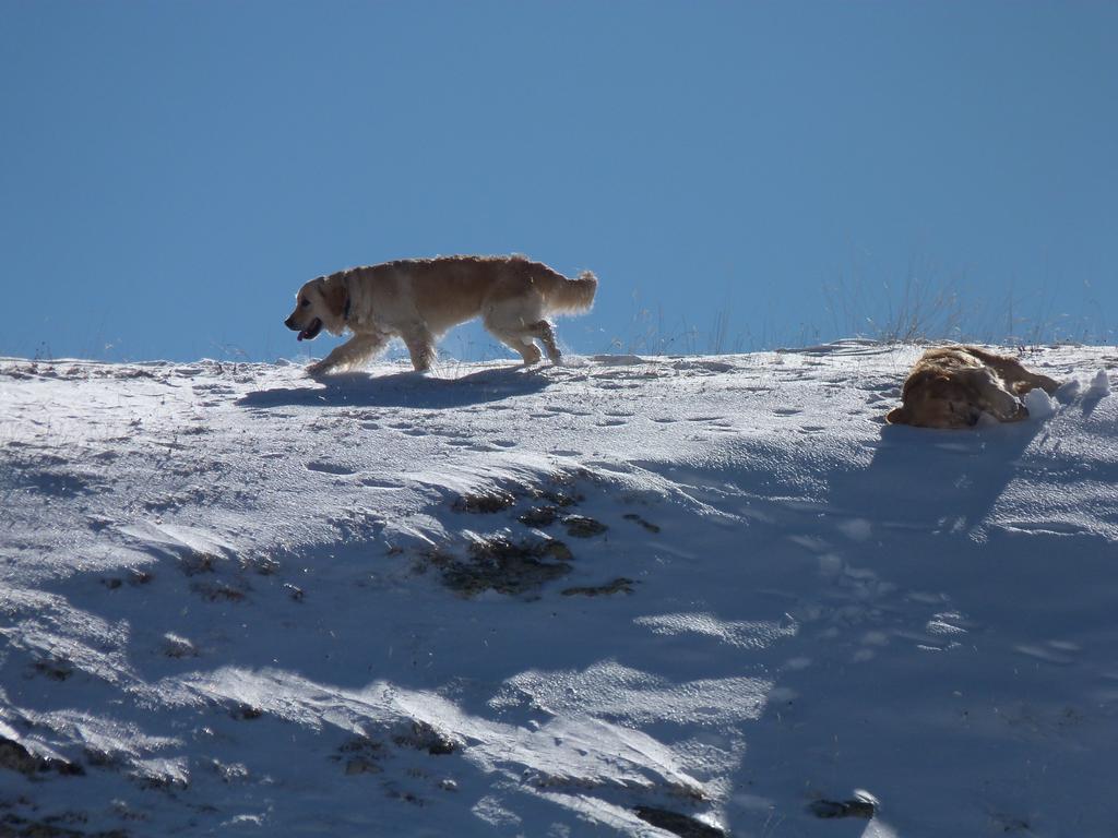 Clic pour l'image suivante