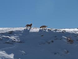 Clic pour agrandir l'image (1024x768 pixels; 53 KB)