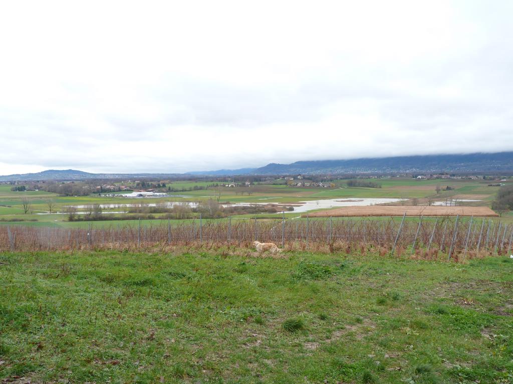 Clic pour l'image suivante