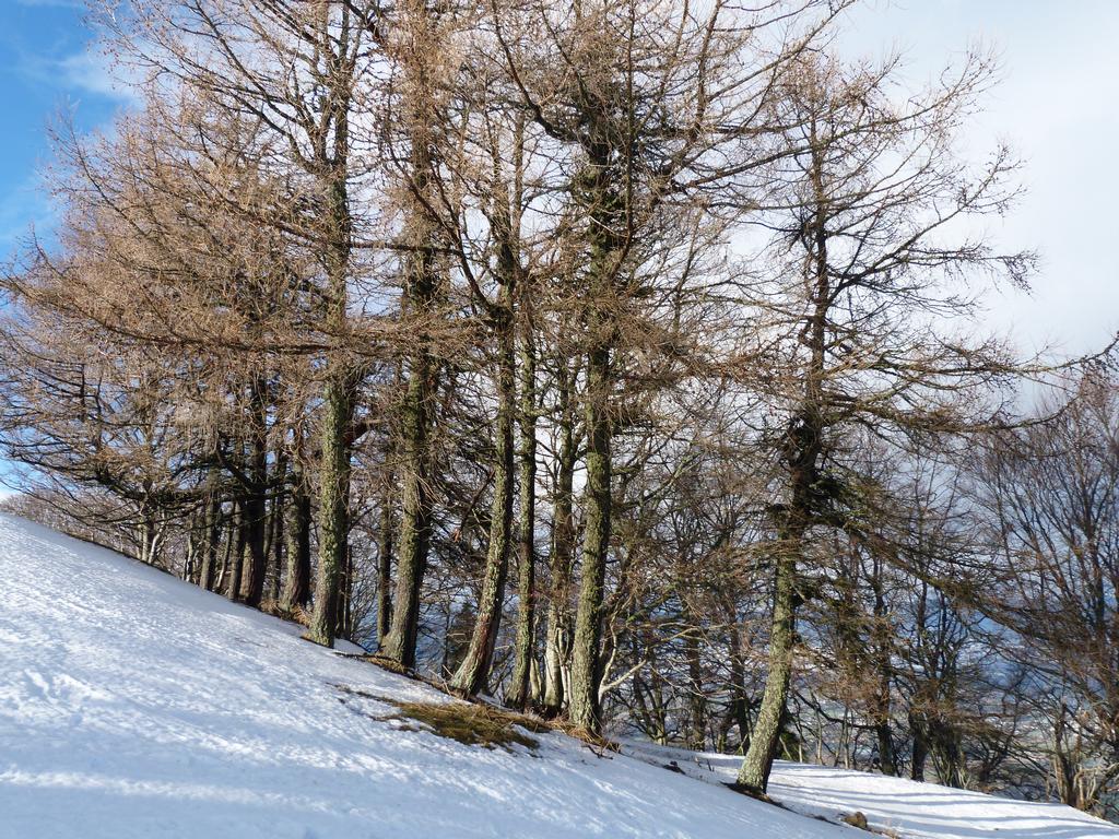 Clic pour l'image suivante