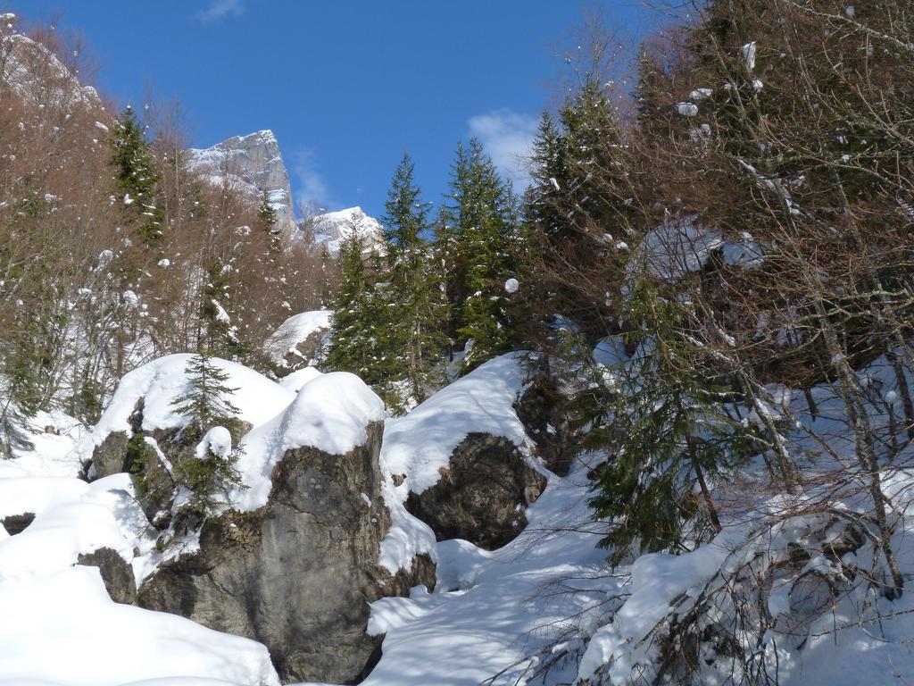 Clic pour l'image suivante