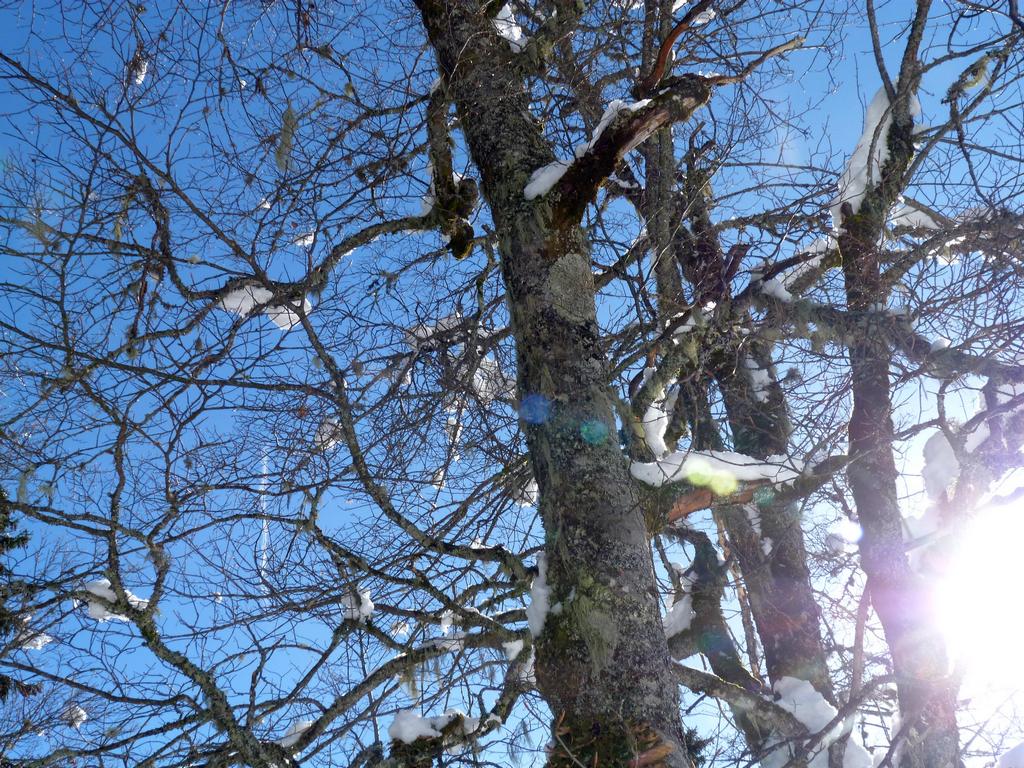 Clic pour l'image suivante