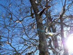 Clic pour agrandir l'image (1024x768 pixels; 235 KB)