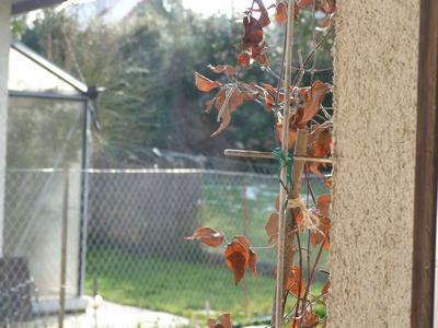 Clic pour agrandir l'image (1024x768 pixels; 105 KB)