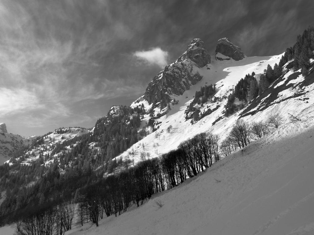 Clic pour l'image suivante