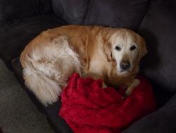 Clic pour agrandir l'image (1024x768 pixels; 74 KB)