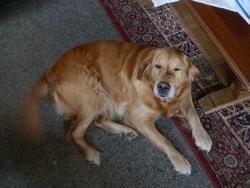 Clic pour agrandir l'image (1024x768 pixels; 112 KB)