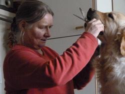 Clic pour agrandir l'image (1024x768 pixels; 100 KB)