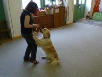 Clic pour agrandir l'image (1024x768 pixels; 98 KB)