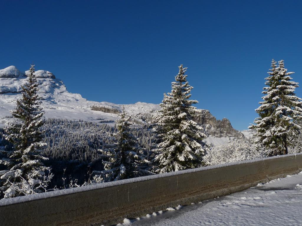 Clic pour l'image suivante