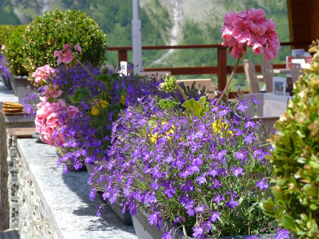 Clic pour l'image suivante