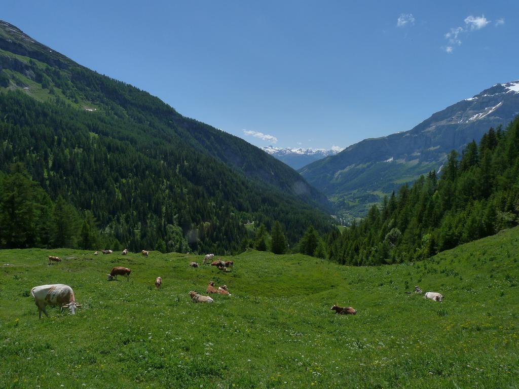 Clic pour l'image suivante